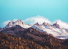 WBG下路发难抓死蛇女，战场蔓延中路两边打出1换1