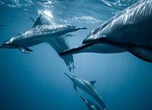 世界杯比赛直播app下载安装-中赫全力一搏愿留住“国安” 球迷希望相关部门协调